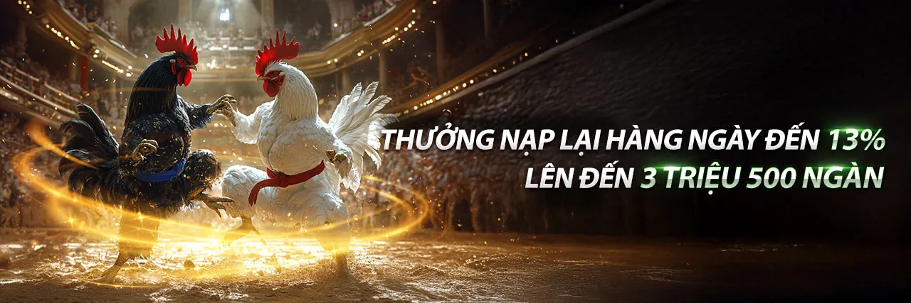 Hình ảnh chính về chương trình hoàn trả hàng ngày Sodo Link